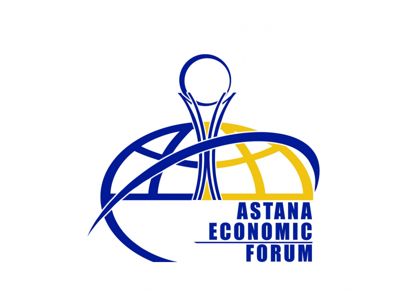 The VI Astana Economic Forum 2013