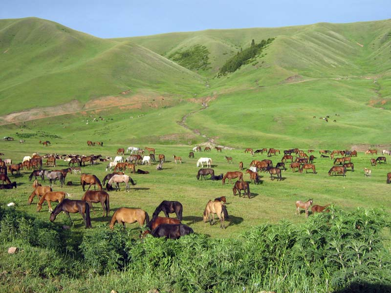 Конкурентные преимущества Казахстана